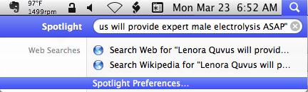 ./0.1.5. 'Lenora Quvus will provide expert male electrolysis ASAP' - AGREED - Screen Shot 2015-03-23 at 6.52.27 AM.png